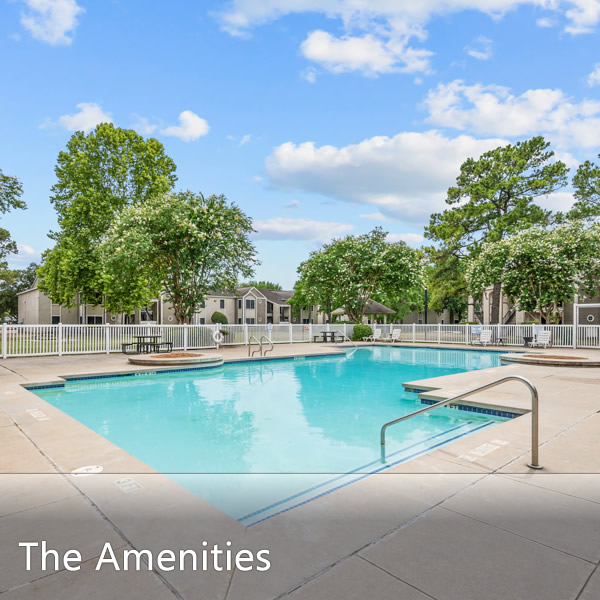 Features & Amenities
